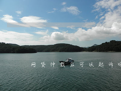 网贷仲裁后可以起诉吗-网贷仲裁了