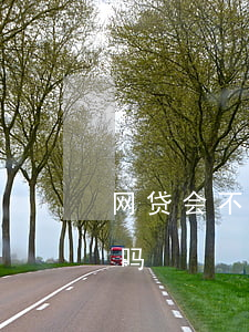 网贷会不会上征信报告(网贷也会上征信报告吗)