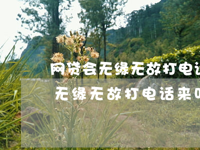 网贷会无缘无故打电话来叫还款吗-网贷会无缘无故打电话来叫还款吗是真的吗