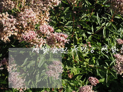 网贷会起诉吗6(网贷借款会被起诉吗)