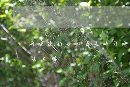 网贷你们逾期最长时间(网贷逾期几个小时影响大吗)
