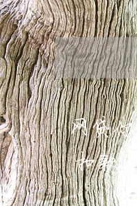 网贷你我贷的逾期扣款时间(网贷逾期后自动扣款)