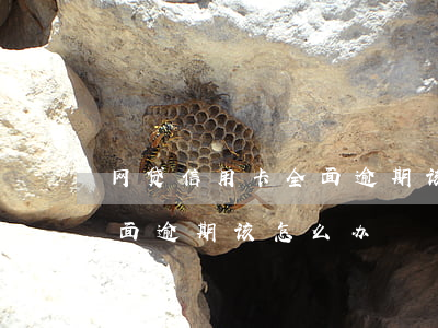 网贷信用卡全面逾期该怎么办(网贷信用卡全面逾期该怎么办)