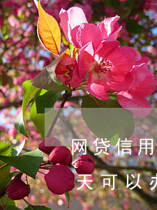 网贷信用卡刚逾期一天怎么办-网贷逾期一天可以办信用卡吗