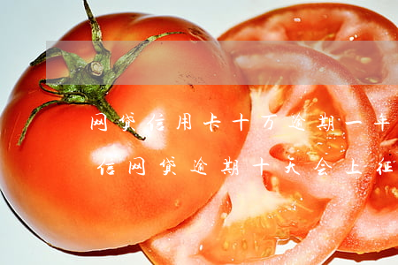 网贷信用卡十万逾期一年了第三方一只发短信(网贷逾期十天会上征信吗)
