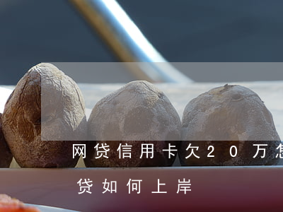 网贷信用卡欠20万怎么上岸(欠20多万网贷如何上岸)
