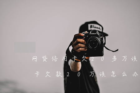 网贷信用卡欠20多万该怎么办(网贷加信用卡欠款20万该怎么办)