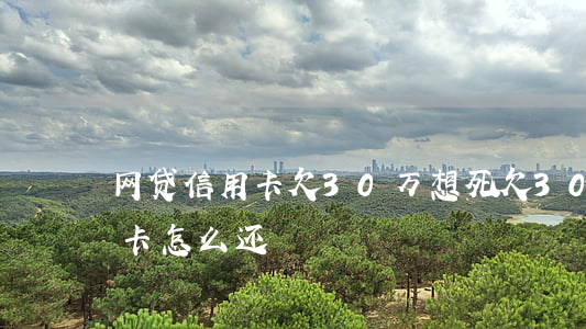 网贷信用卡欠30万想死(欠30万网贷信用卡怎么还)