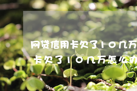 网贷信用卡欠了10几万怎么办-网贷信用卡欠了10几万怎么办呢