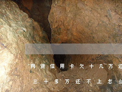网贷信用卡欠十几万还不上(欠信用卡和网贷三十多万还不上怎么办)
