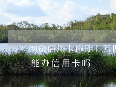 网贷信用卡逾期1万四本金(网贷逾期一年还能办信用卡吗)