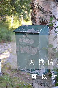 网贷信用卡逾期了半年(办信用卡网贷逾期了可以过得了么)