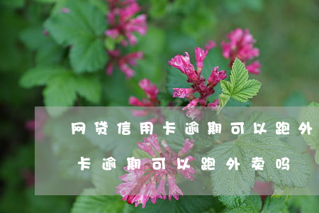 网贷信用卡逾期可以跑外卖吗贴吧（网贷信用卡逾期可以跑外卖吗）
