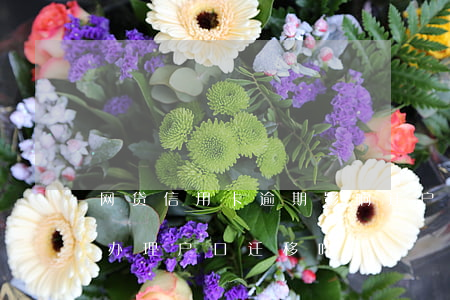 网贷信用卡逾期影响迁户口吗(网贷逾期可以办理户口迁移吗)