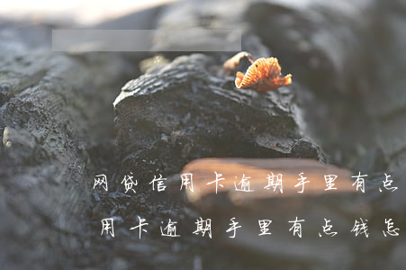 网贷信用卡逾期手里有点钱怎么办-网贷信用卡逾期手里有点钱怎么办呢