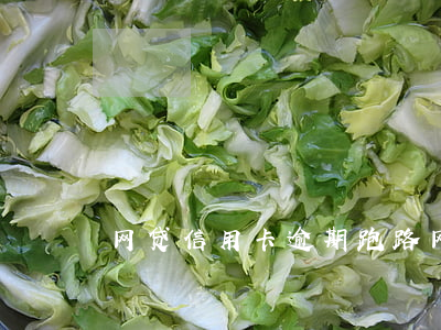 网贷信用卡逾期 跑路(网贷跑路了钱还要还吗)