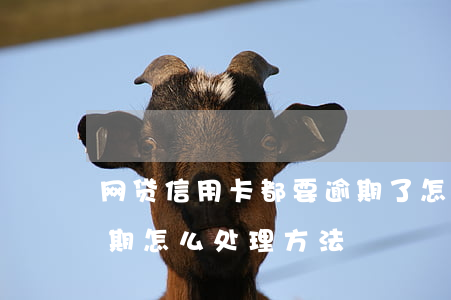 网贷信用卡都要逾期了怎么办(信用卡网贷逾期怎么处理方法)