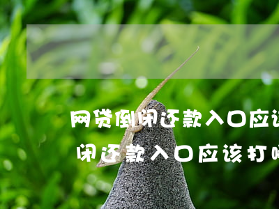 网贷倒闭还款入口应该打哪个电话-网贷倒闭还款入口应该打哪个电话投诉
