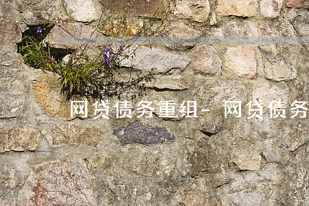 网贷债务重组-网贷债务重组可信吗