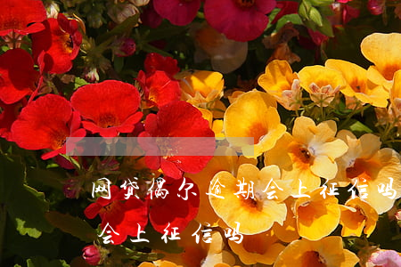 网贷偶尔逾期会上征信吗(不合法的网贷逾期会上征信吗?)