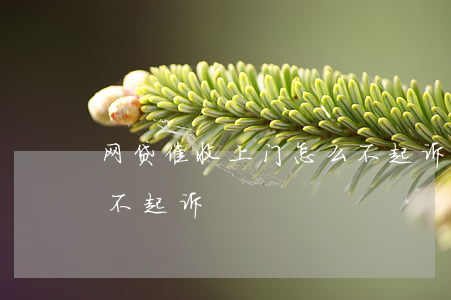 网贷催收上门怎么不起诉(网贷为什么只催收不起诉)
