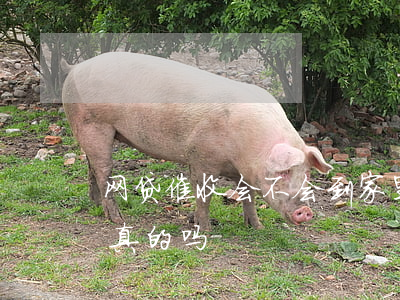 网贷催收会不会到家里来(网贷说到家里催收真的吗)