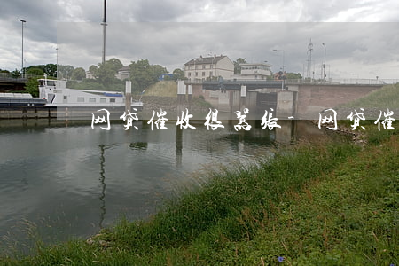 网贷催收很嚣张-网贷催收又开始疯狂了