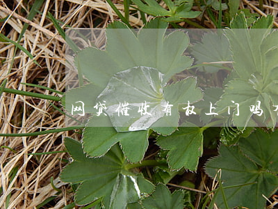 网贷催收有权上门吗(有网贷催收上门收账吗)
