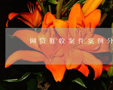 网贷催收案件案例分享(网贷催收套路曝光)