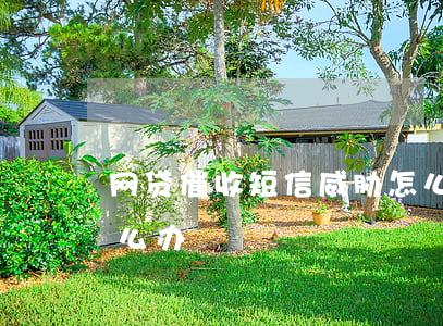 网贷催收短信威胁怎么办(催收发威胁短信怎么办)