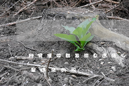 网贷催收群发消息违法么(网贷催收群发短信是违法的吗)