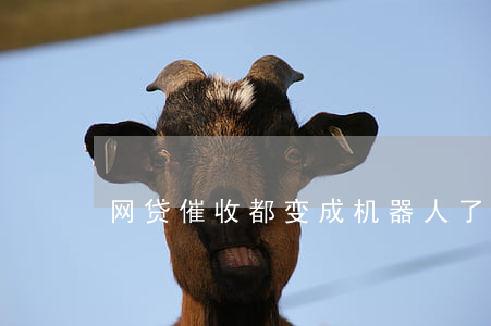 网贷催收都变成机器人了吗？真相揭秘