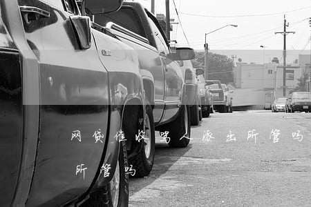 网贷催收骂人派出所管吗(网贷催收骂人派出所管吗)