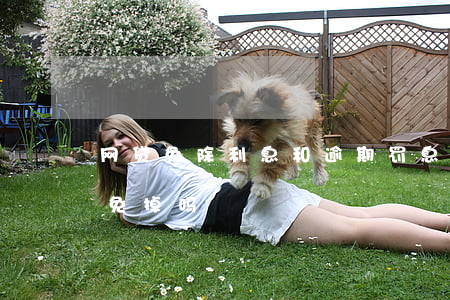 网贷免除利息和逾期罚息(网贷的逾期罚金能免掉吗)
