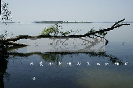 网贷全部逾期怎么做强制(网贷全面逾期怎么办)