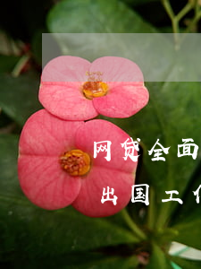 网贷全面逾期不能出国吗(多笔网贷逾期可以出国工作吗)