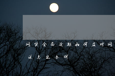 网贷全面逾期如何应对(网贷面临全面逾期,我该怎么办啊)