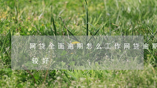 网贷全面逾期怎么工作(网贷逾期如何处理比较好)