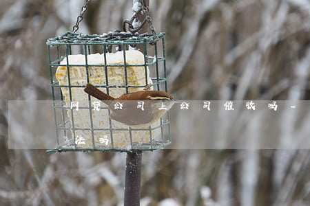 网贷公司上公司催收吗-网贷上公司催收合法吗
