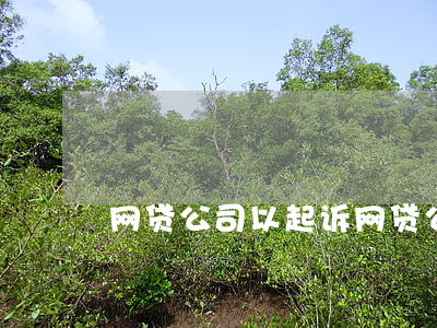 网贷公司以起诉(网贷公司以起诉为准吗)