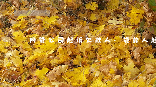 网贷公司起诉欠款人-贷款人起诉网贷公司