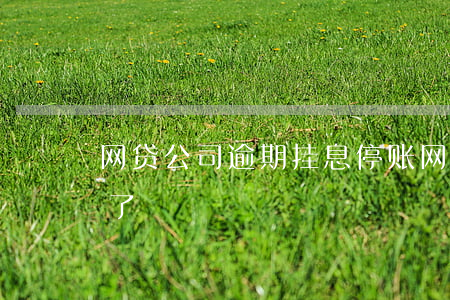 网贷公司逾期挂息停账(网贷逾期之后你停机了)