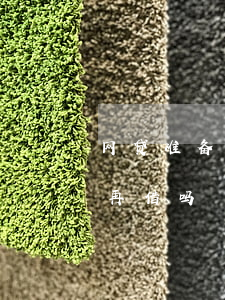 网贷准备逾期了想再借(网贷逾期还完了还能再借吗)