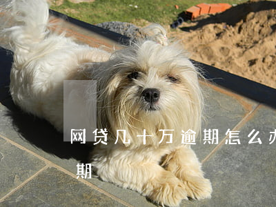 网贷几十万逾期怎么办(网贷了二十多万没逾期)