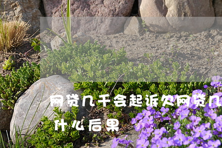 网贷几千会起诉(欠网贷几千块钱被起诉会有什么后果)