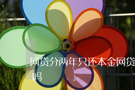 网贷分两年只还本金(网贷两年后可以不用还吗)