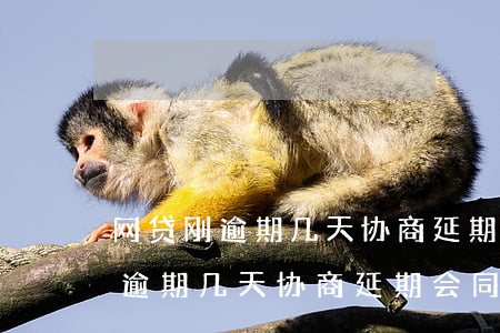 网贷刚逾期几天协商延期会同意吗-网贷刚逾期几天协商延期会同意吗知乎
