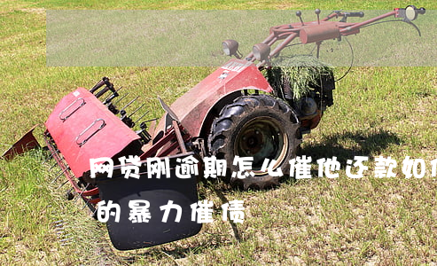 网贷刚逾期怎么催他还款(如何应对网贷逾期的暴力催债)
