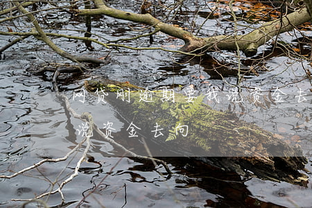 网贷刚逾期要我说资金去向(网贷刚逾期要我说资金去向)