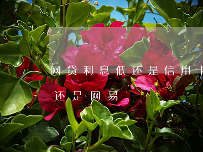 网贷利息低还是信用卡利息低（信用卡利息高还是网易）